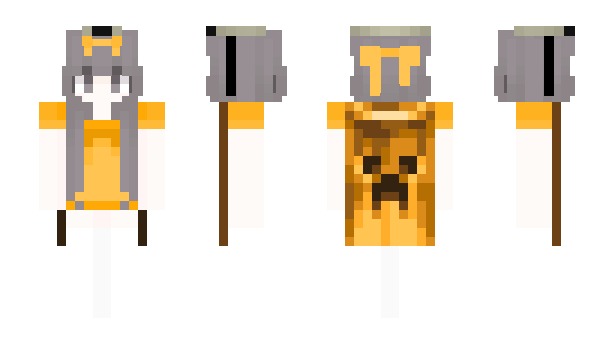 Minecraft skin amnf