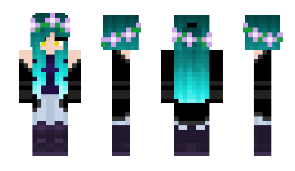 Minecraft skin Niklas_K