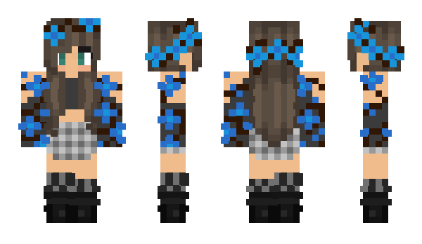 Minecraft skin koksior