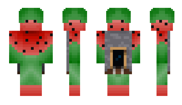 Minecraft skin CircusMelon