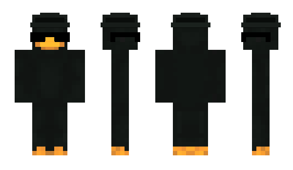 Minecraft skin Enderdu