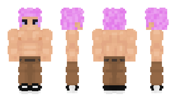 Minecraft skin TodouAoi