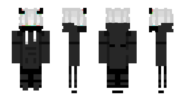 Minecraft skin Vayron