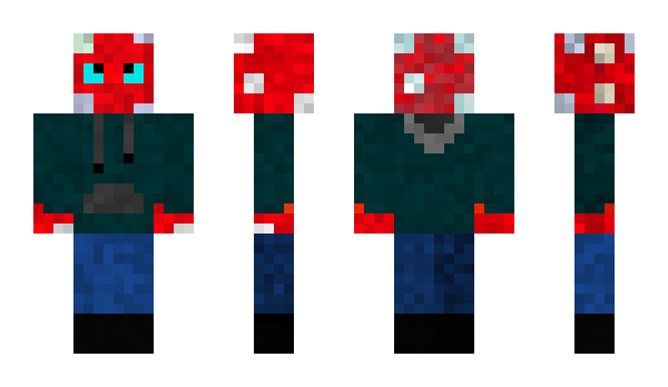 Minecraft skin evgo495