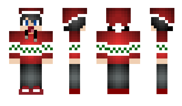 Minecraft skin SeTax