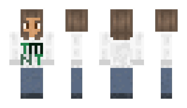 Minecraft skin nr1212