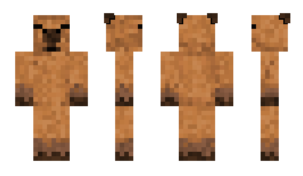 Minecraft skin Str4yzy
