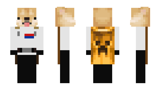 Minecraft скин по нику UnChienRandom