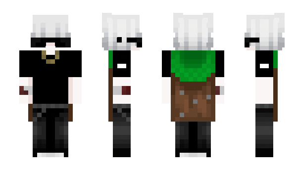 Minecraft skin BcMestro