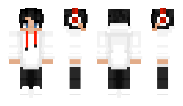 Minecraft skin bradolomew