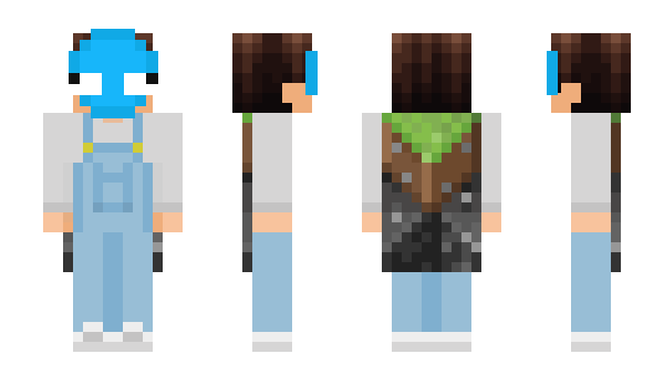 Minecraft skin TechKid778899