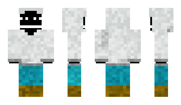 Minecraft skin lopppop