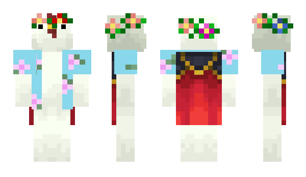 Minecraft skin SupNeDoel