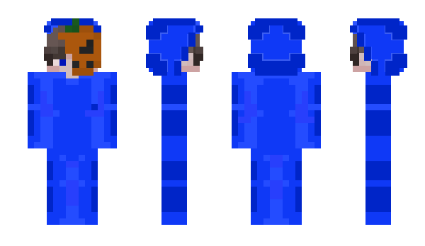 Minecraft skin zFqils