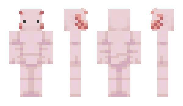 Minecraft skin axalotl