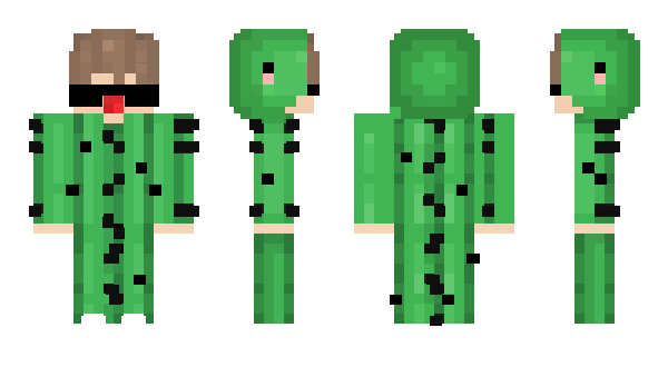 Minecraft skin SAYPI