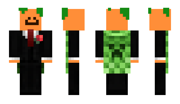 Minecraft skin Flecish