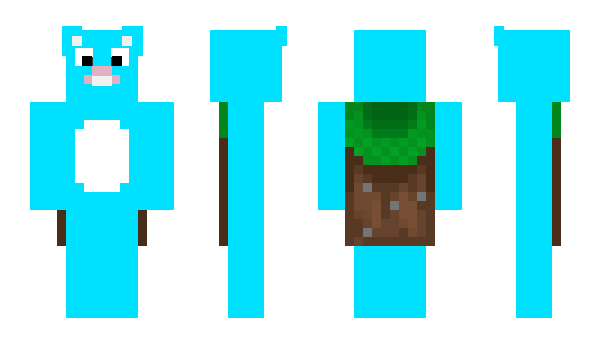 Minecraft skin SmashKarts