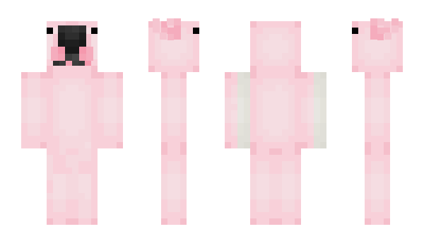 Minecraft skin aspcct