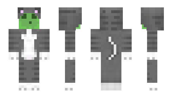 Minecraft skin Commonly