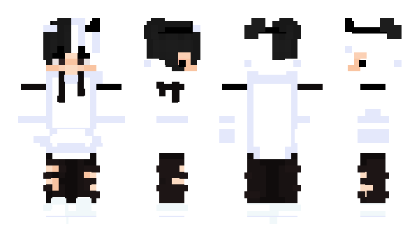 Minecraft skin Notreddream321