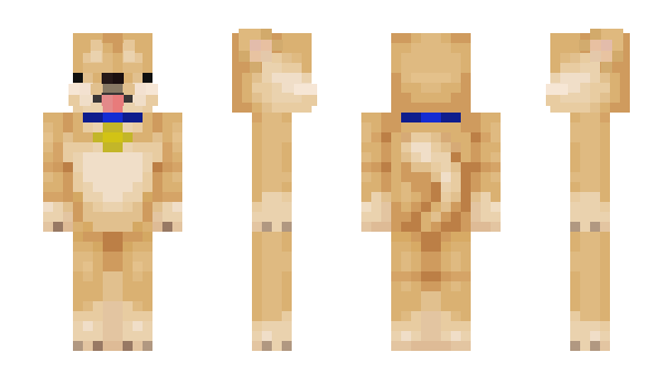 Minecraft skin Kiiwii