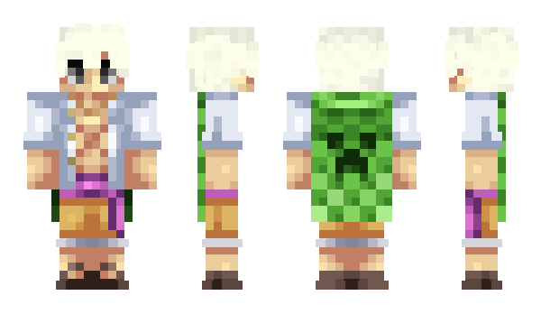Minecraft skin Morrocoy