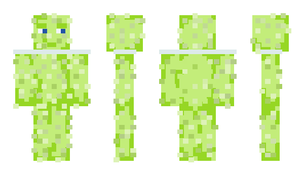 Minecraft skin Xekrah