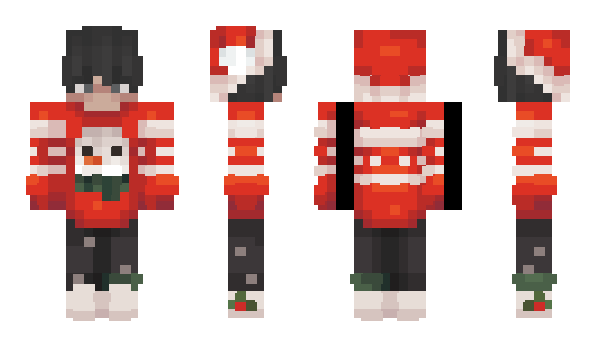 Minecraft skin BotTheBot