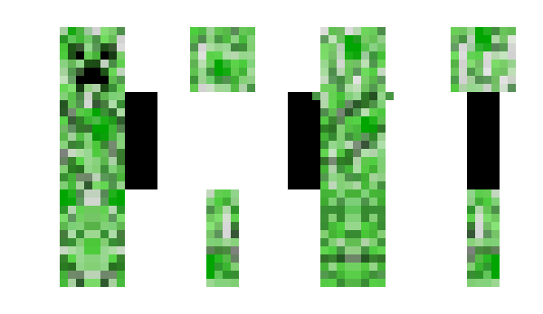 Minecraft skin 14404