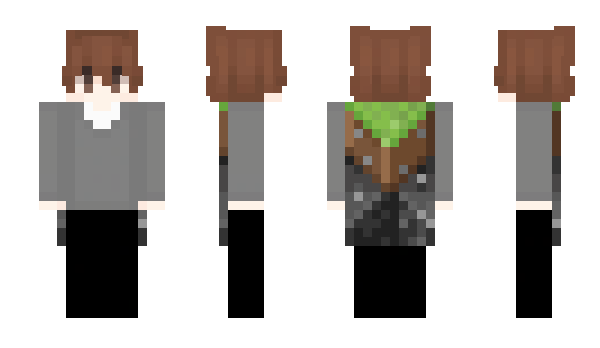 Minecraft скин по нику swstt