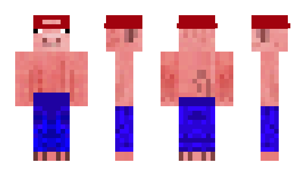 Minecraft skin BoBo16