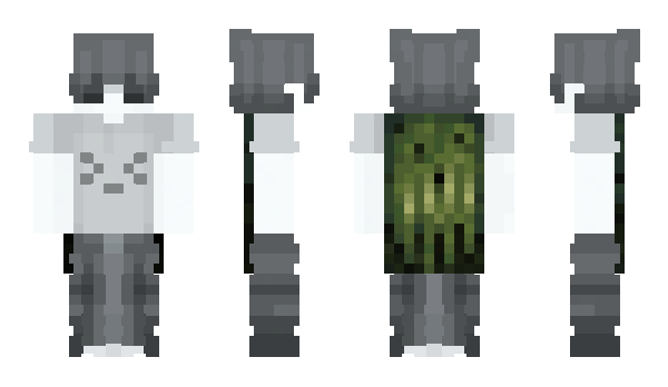 Minecraft skin recordarte