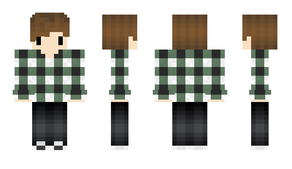 Minecraft skin SeckC