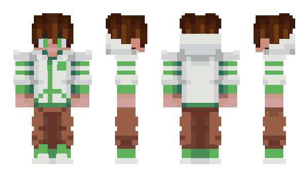 Minecraft skin Belms