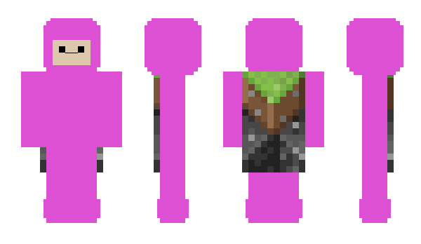 Minecraft skin squigswoman