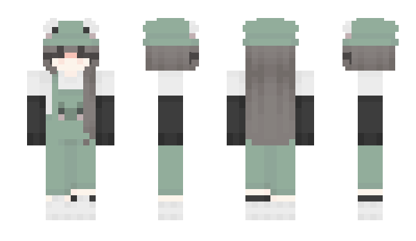 Minecraft skin piclke