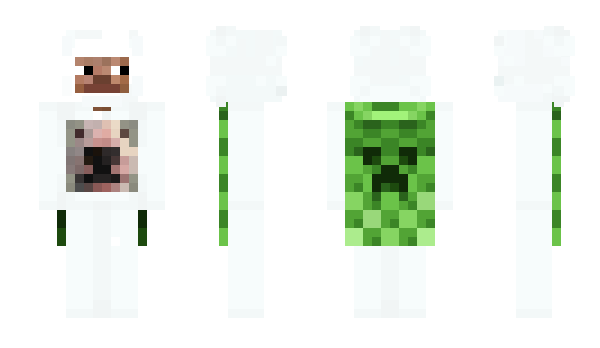 Minecraft skin zooz_MC