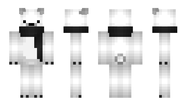 Minecraft skin __NPC__