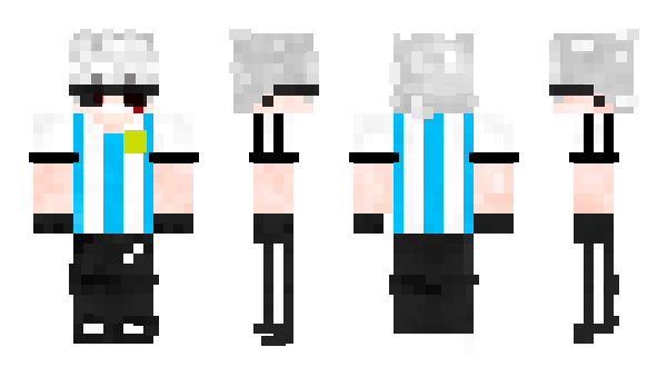 Minecraft skin Braiton