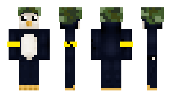 Minecraft skin petremihailescu