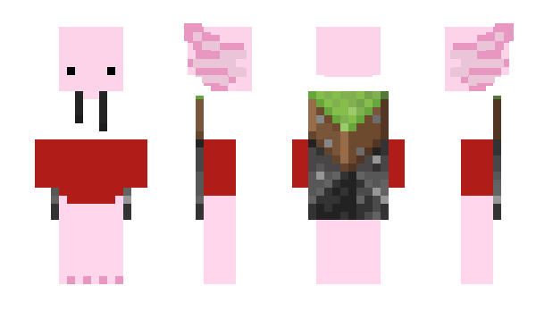 Minecraft skin KajtekMine