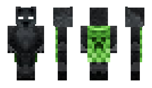 Minecraft skin jyis