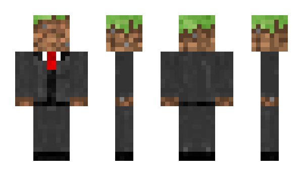 Minecraft skin Anga