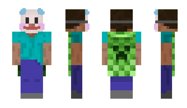 Minecraft skin pltyyy