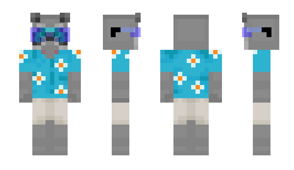 Minecraft skin raccoon_