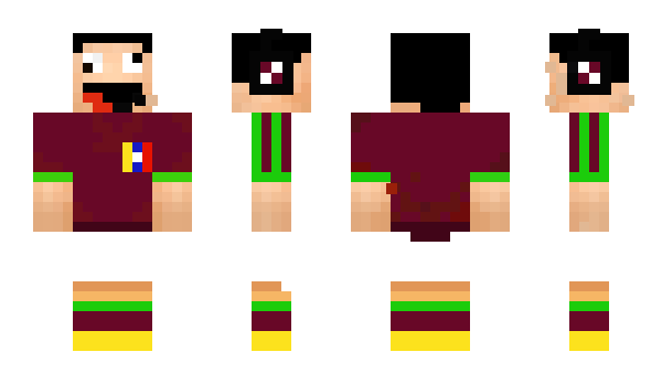 Minecraft skin rorobin