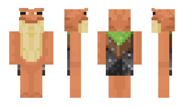 Minecraft skin R0LU