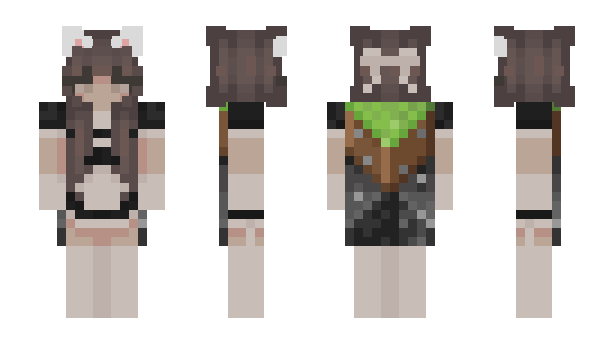 Minecraft skin Li3MC