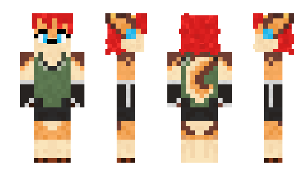 Minecraft skin MeshiruDev
